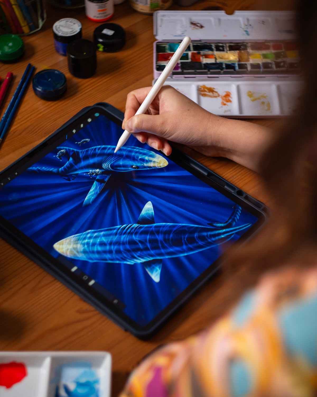 4/200 Blue Shark Illustration Print