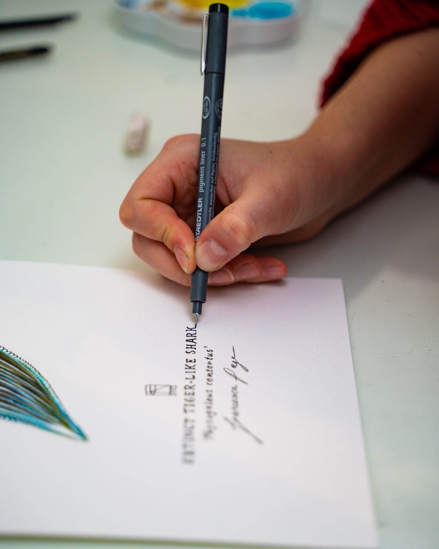 Extinct Tiger-Like Shark - A4 Original Painting