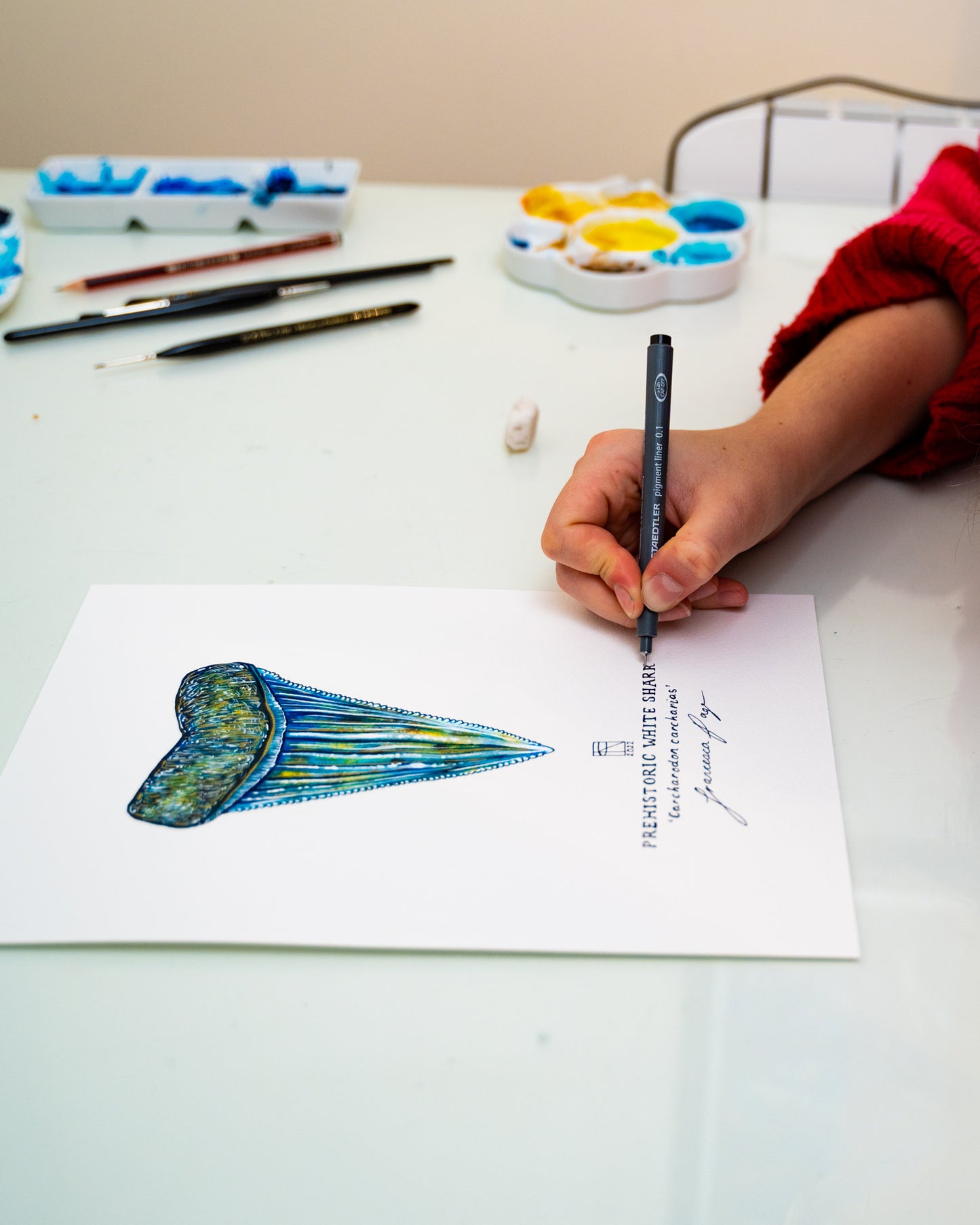 Prehistoric White Shark - A4 Original painting