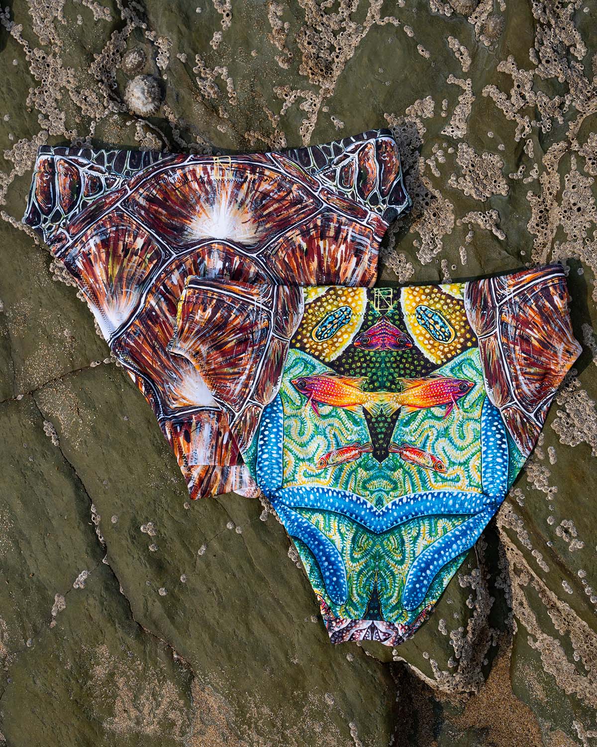 Turtle Shell Eco Bikini Set
