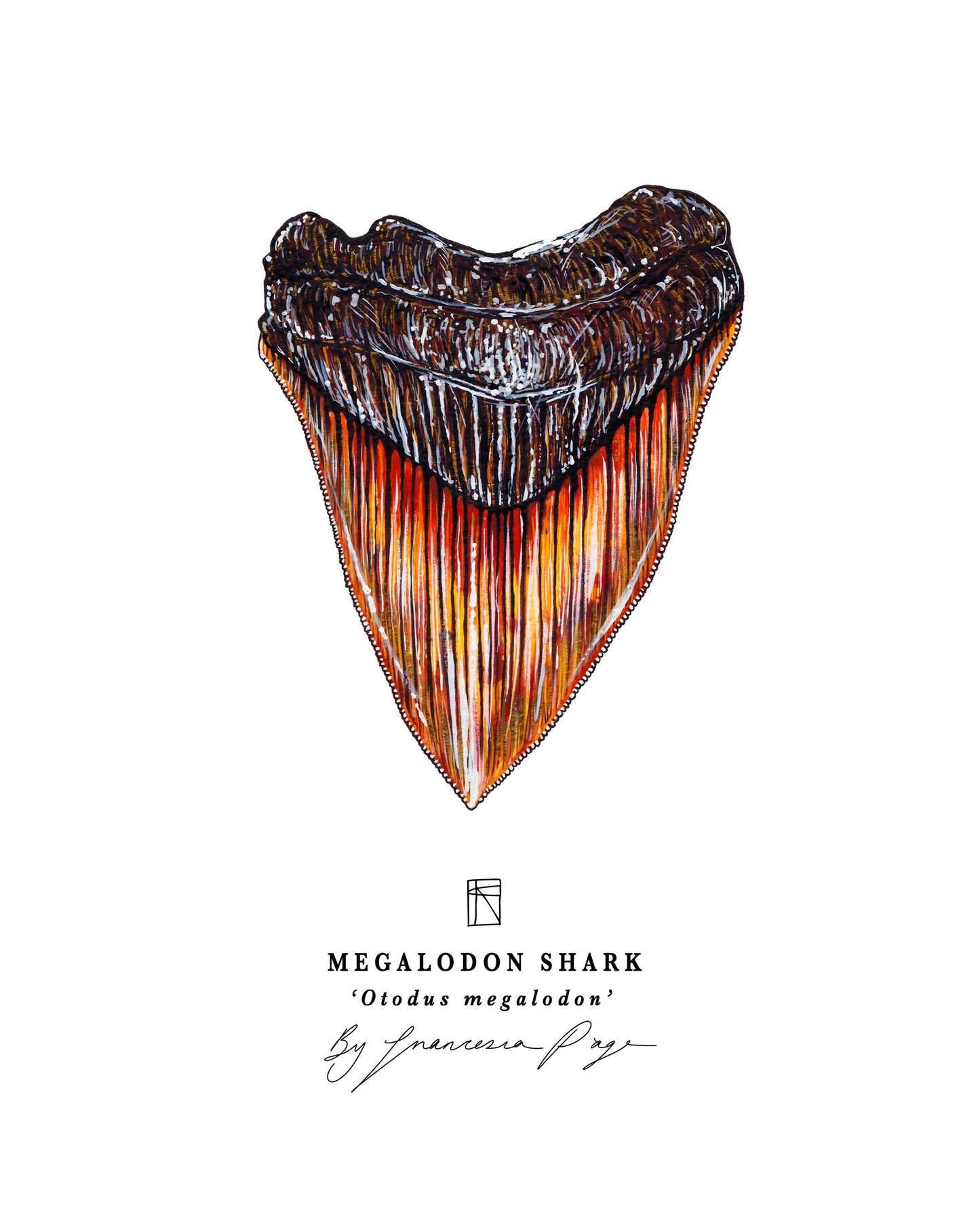 Megalodon Shark Scientific Print