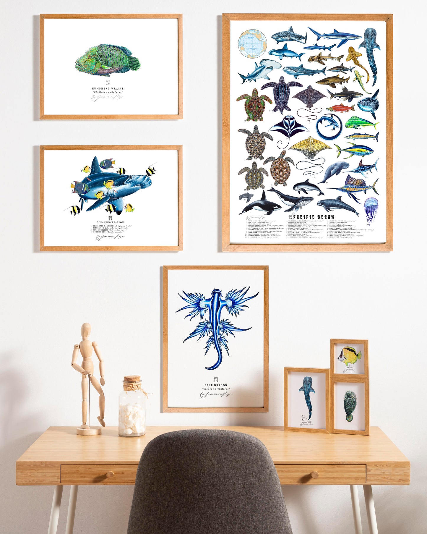 Pacific Ocean Scientific Print