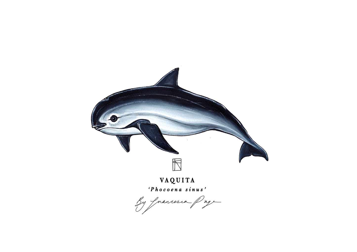 Vaquita Scientific Print
