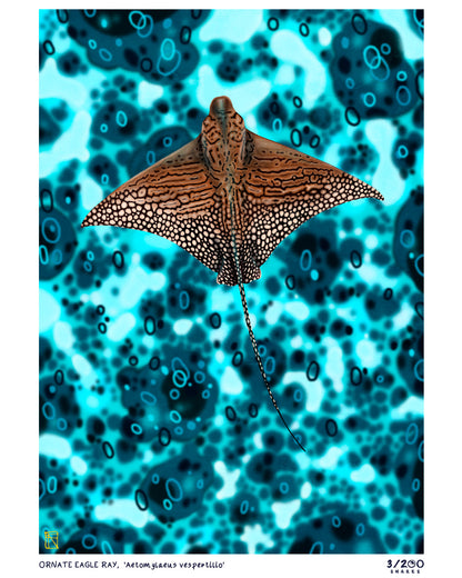 3/200 Ornate Eagle Ray Illustration Print