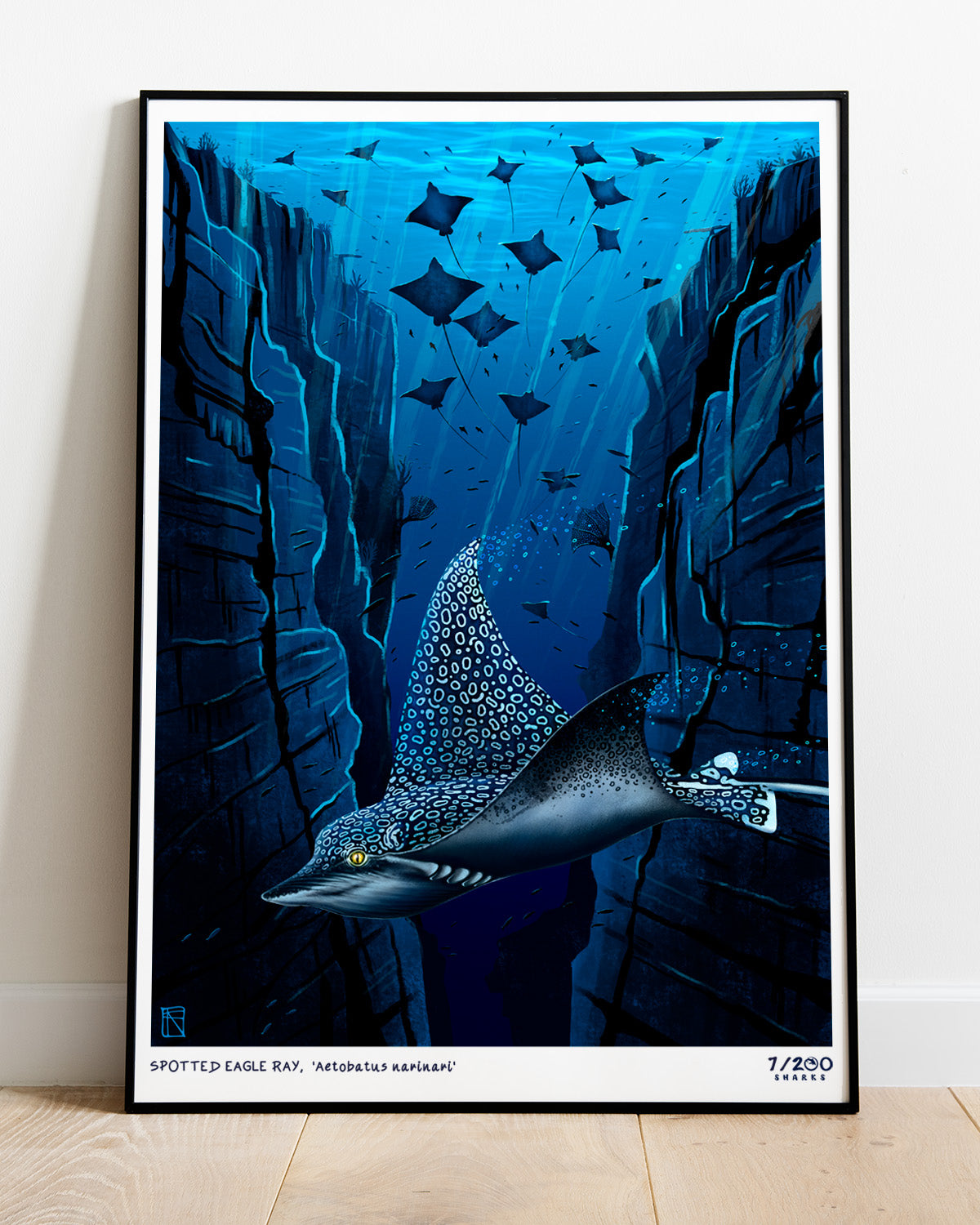 7/200 Spotted Eagle Ray Illustration Print