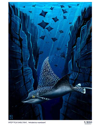 7/200 Spotted Eagle Ray Illustration Print