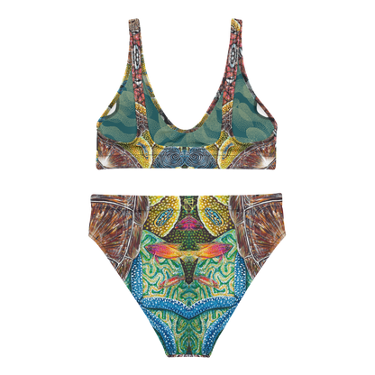 Rainbow City Eco Bikini Set