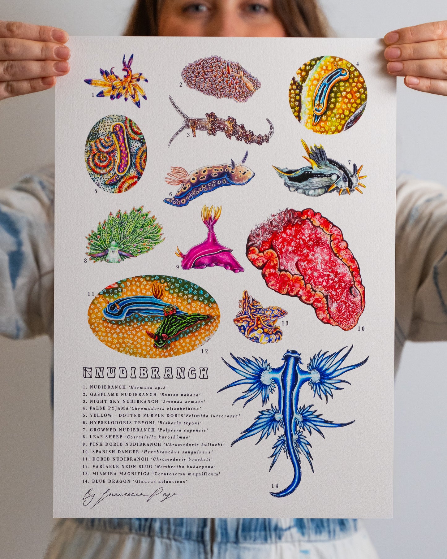 Nudibranch Scientific Print