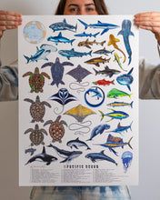 Load image into Gallery viewer, Pacific Ocean Scientific Print
