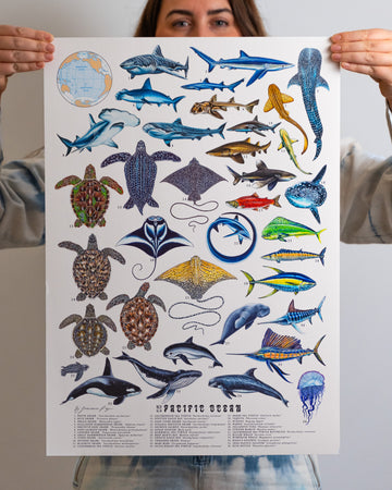 Pacific Ocean Scientific Print