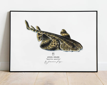 Angel Shark Scientific Print