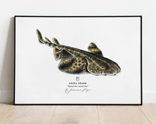 Load image into Gallery viewer, Angel Shark Scientific Print
