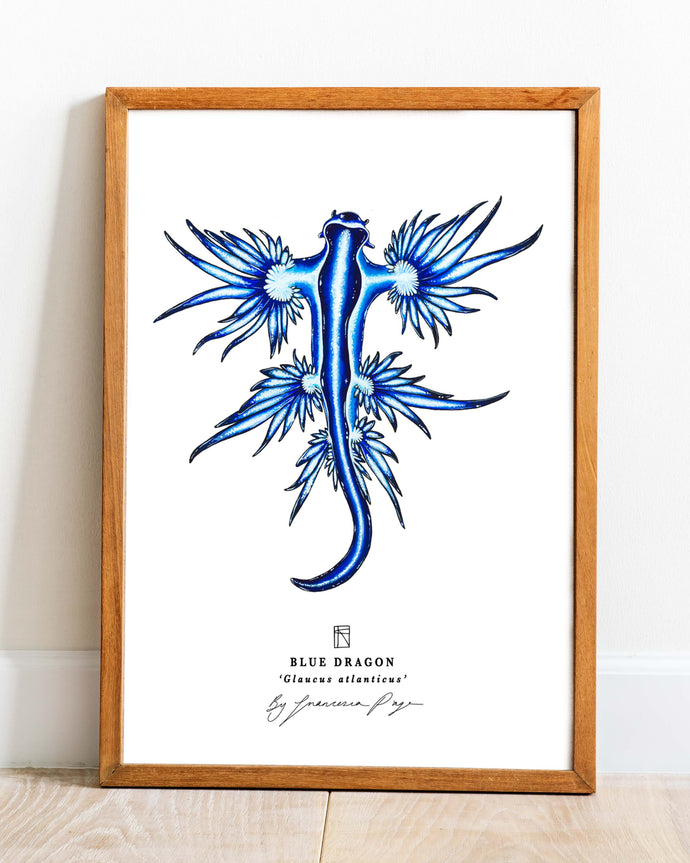 Blue Dragon Scientific Print