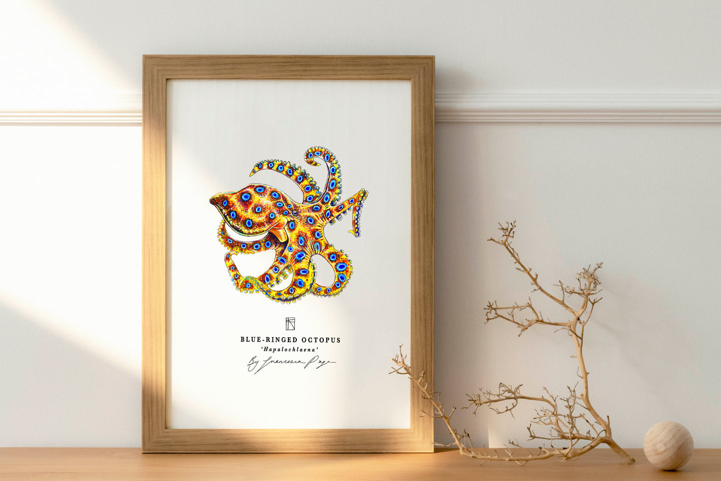 Blue-Ringed Octopus Scientific Print