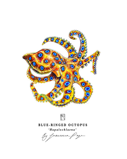 Blue-Ringed Octopus Scientific Print