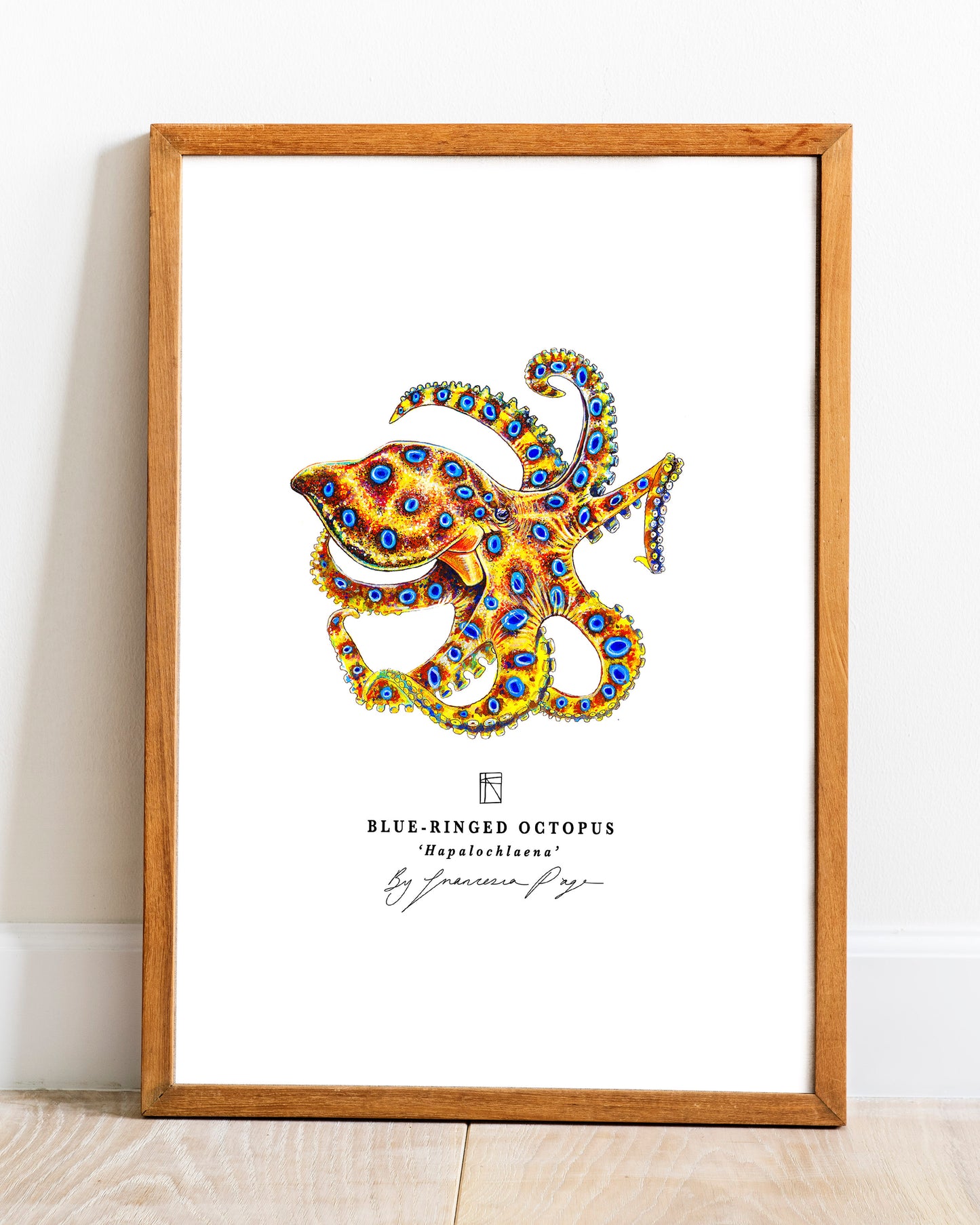 Blue-Ringed Octopus Scientific Print