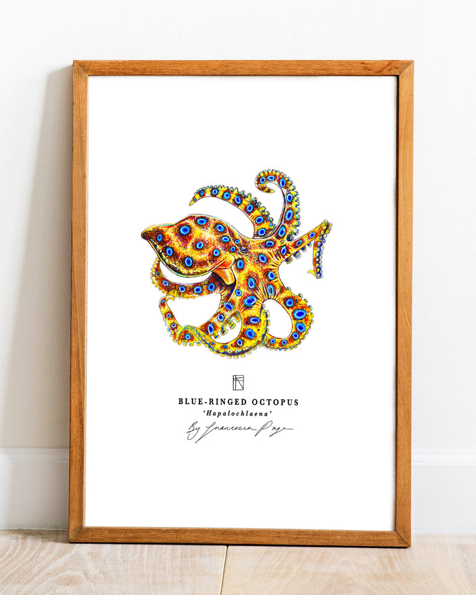 Blue-Ringed Octopus Scientific Print