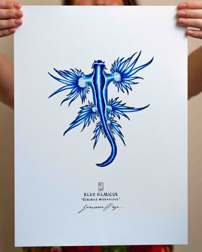 Blue Glaucus - A3 Original Painting