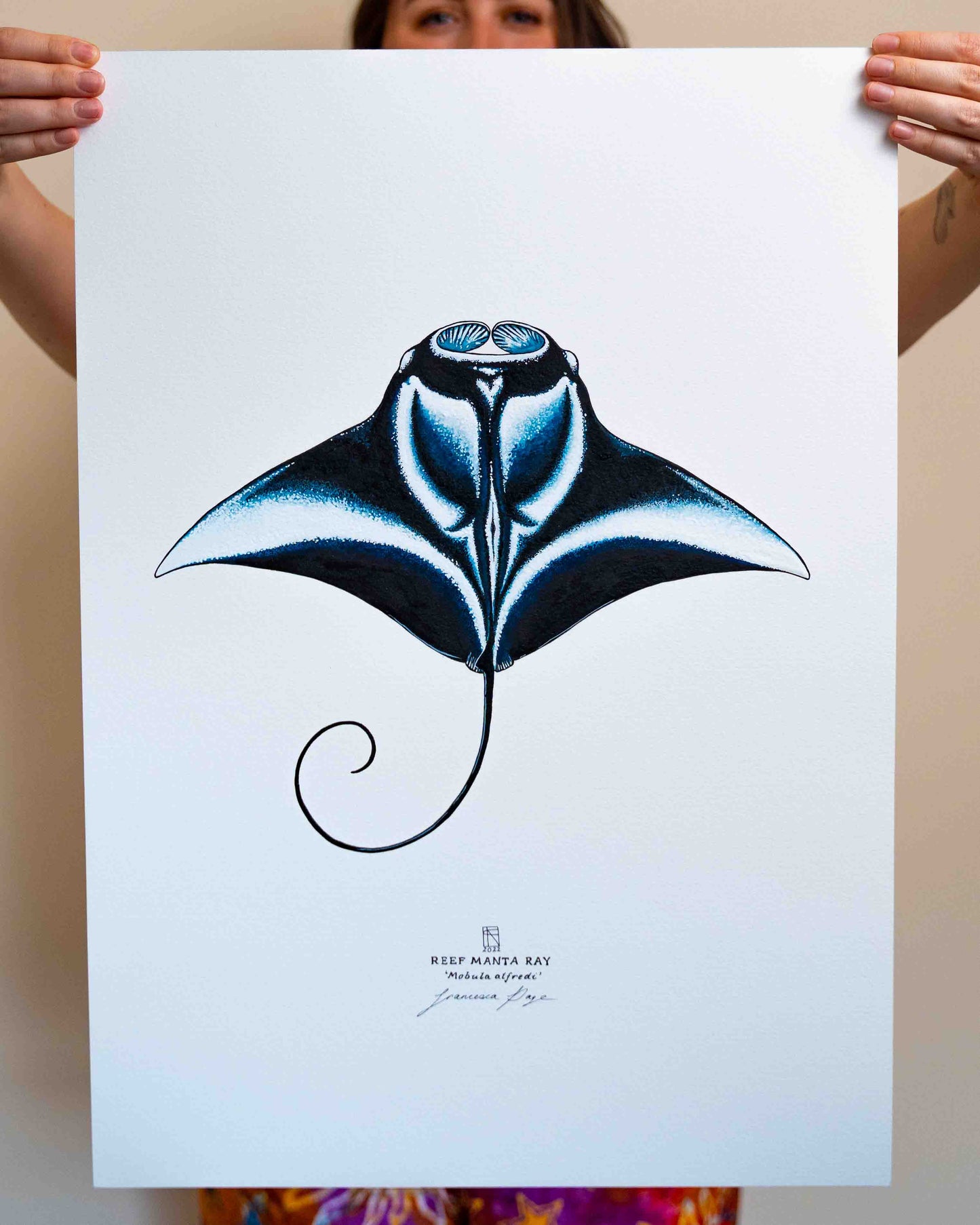 Reef Manta Ray - A2 Original Painting