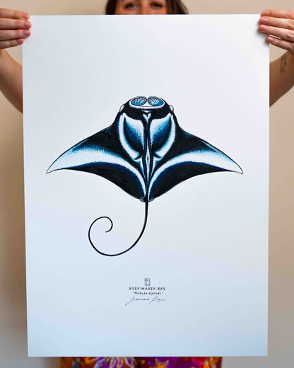 Reef Manta Ray - A2 Original Painting