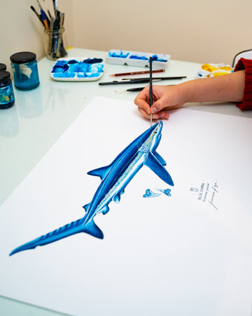 Blue Shark - A2 Original Painting