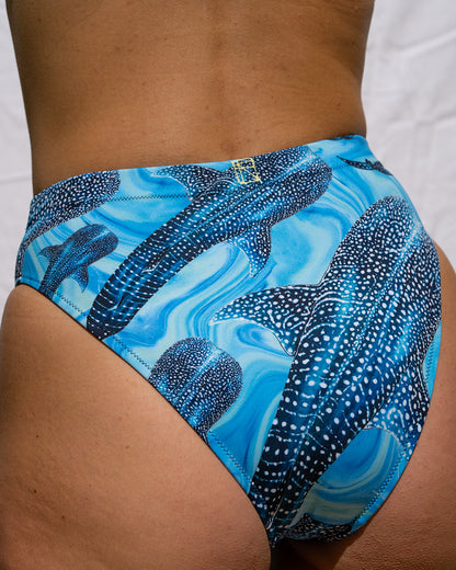 Groovy Whale Shark Eco Bikini Bottom