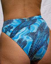 Load image into Gallery viewer, Groovy Whale Shark Eco Bikini Bottom

