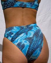 Load image into Gallery viewer, Groovy Whale Shark Eco Bikini Set
