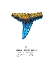 Load image into Gallery viewer, Extinct Lemon Shark Scientific Print
