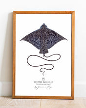 Load image into Gallery viewer, Spotted Eagle Ray Scientific Print
