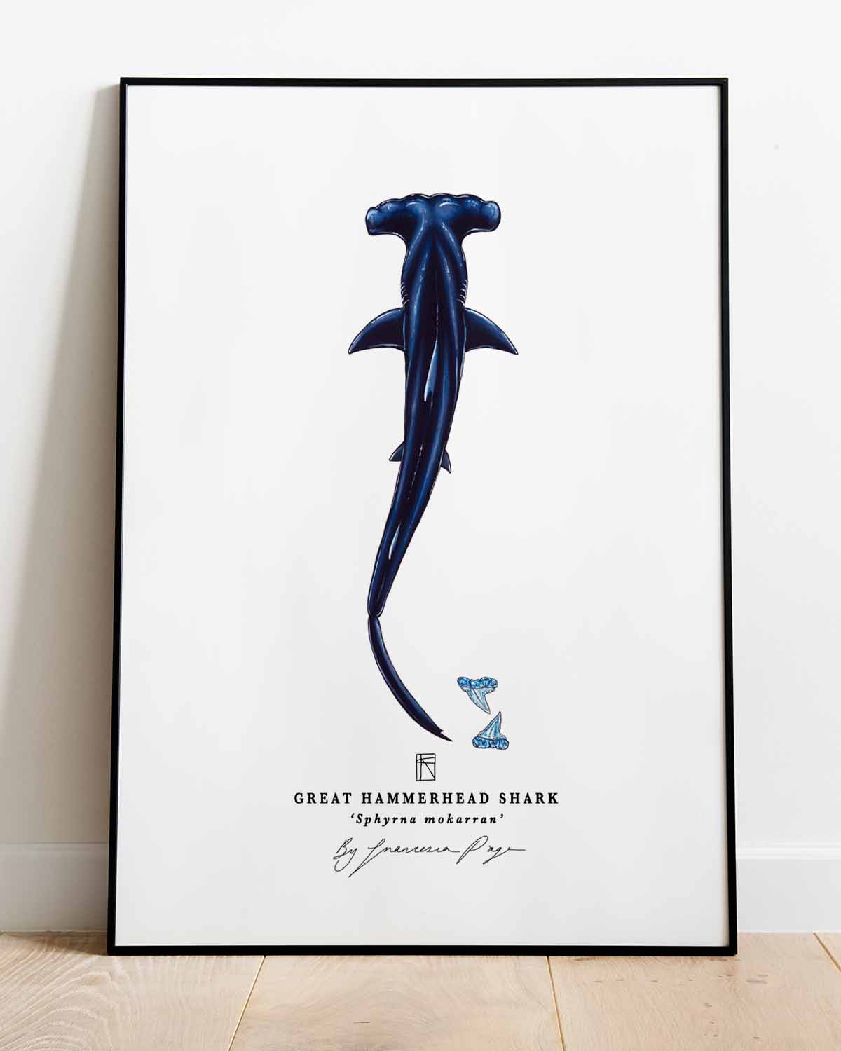 Great Hammerhead Shark Scientific Print