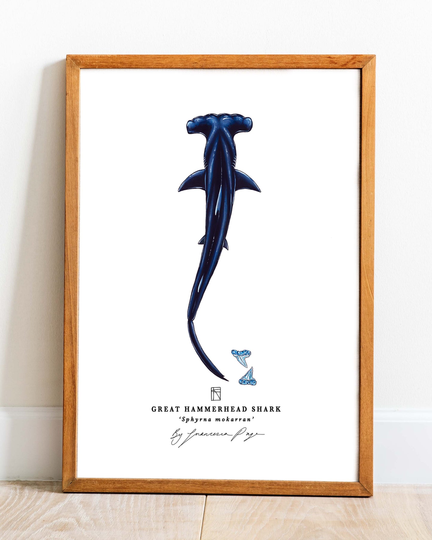 Great Hammerhead Shark Scientific Print