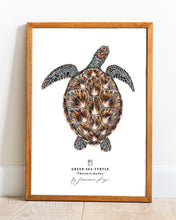 Load image into Gallery viewer, Green Sea Turtle Scientific Print
