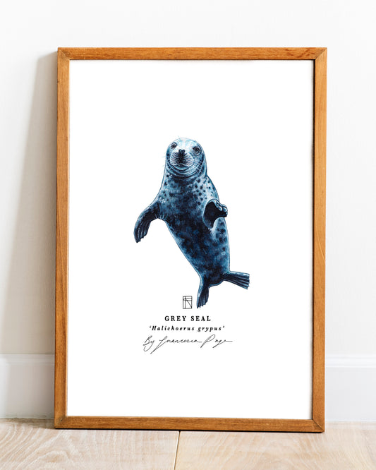 Grey Seal Scientific Print