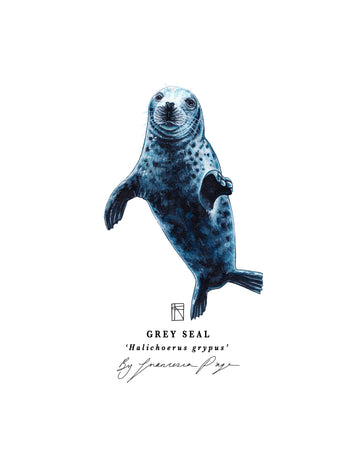 Grey Seal Scientific Print