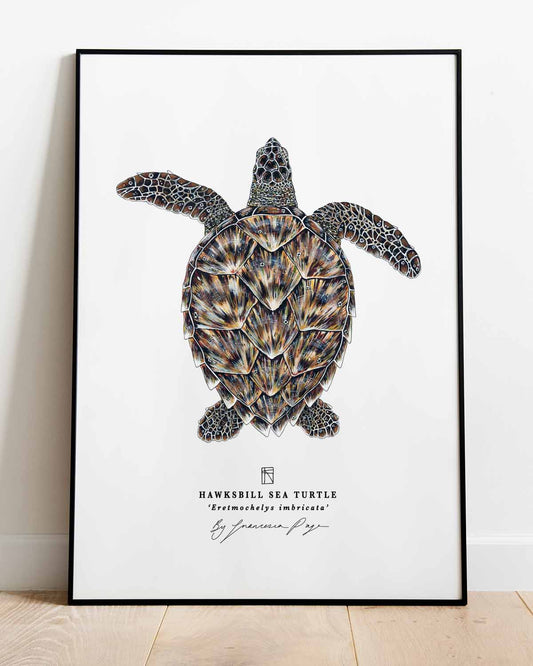 Hawksbill Sea Turtle Scientific Print