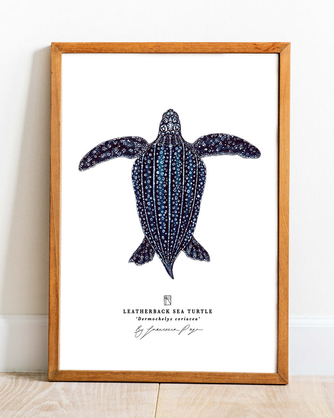 Leatherback Sea Turtle Scientific Print