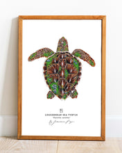 Load image into Gallery viewer, Loggerhead Sea Turtle Scientific Print
