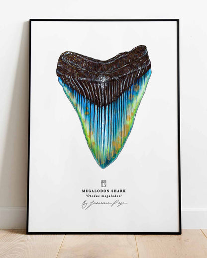 Megalodon Shark Scientific Print