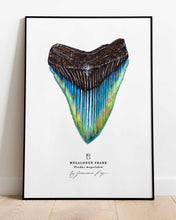 Load image into Gallery viewer, Megalodon Shark Scientific Print
