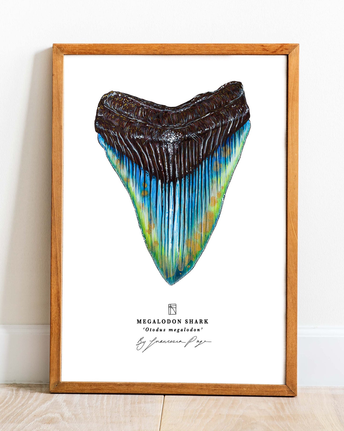 Megalodon Shark Scientific Print