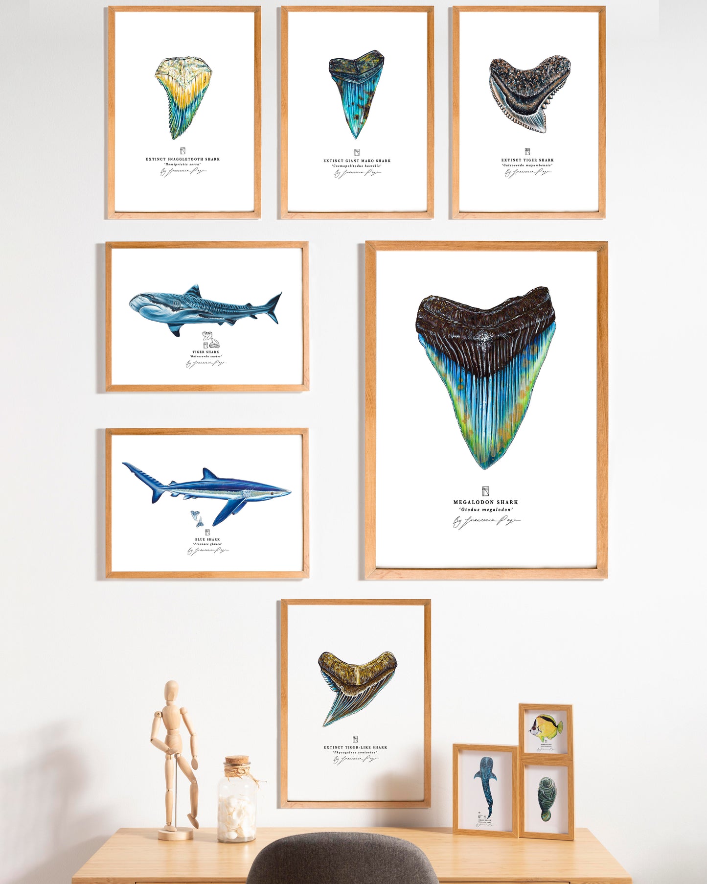 Blue Shark Scientific Print