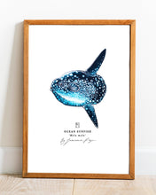 Load image into Gallery viewer, Ocean Sunfish Scientific Print
