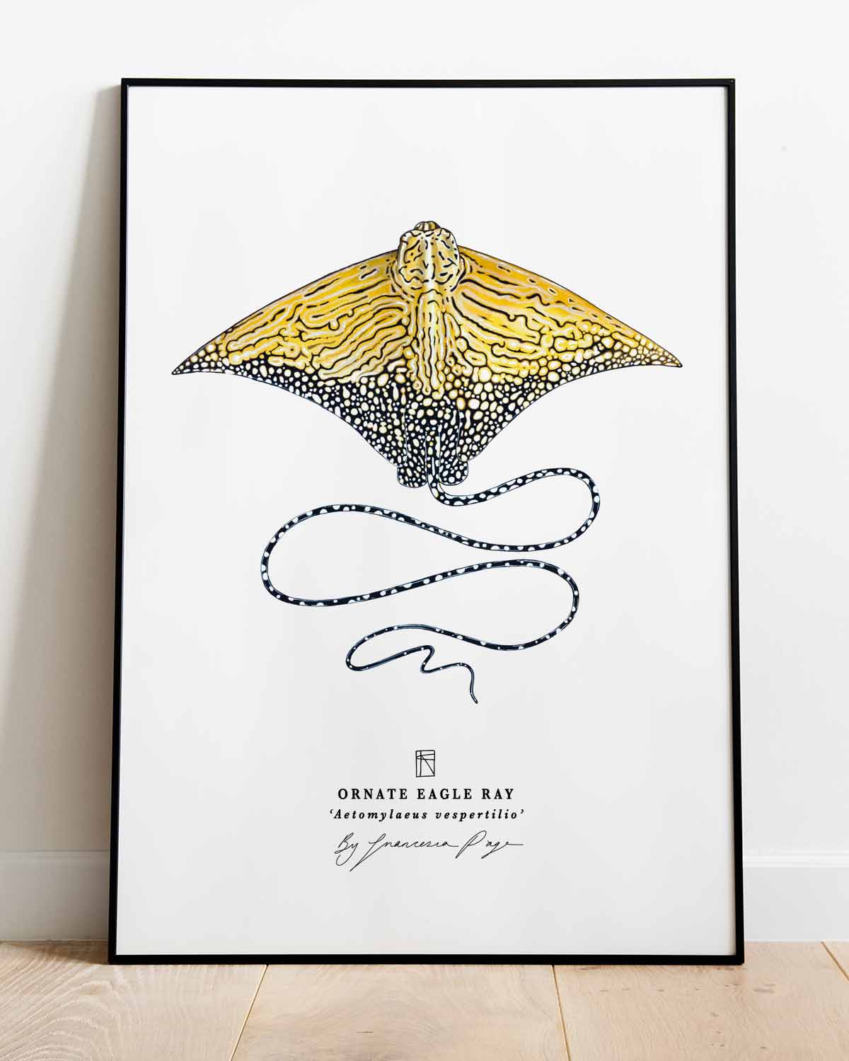 Ornate Eagle Ray Scientific Print