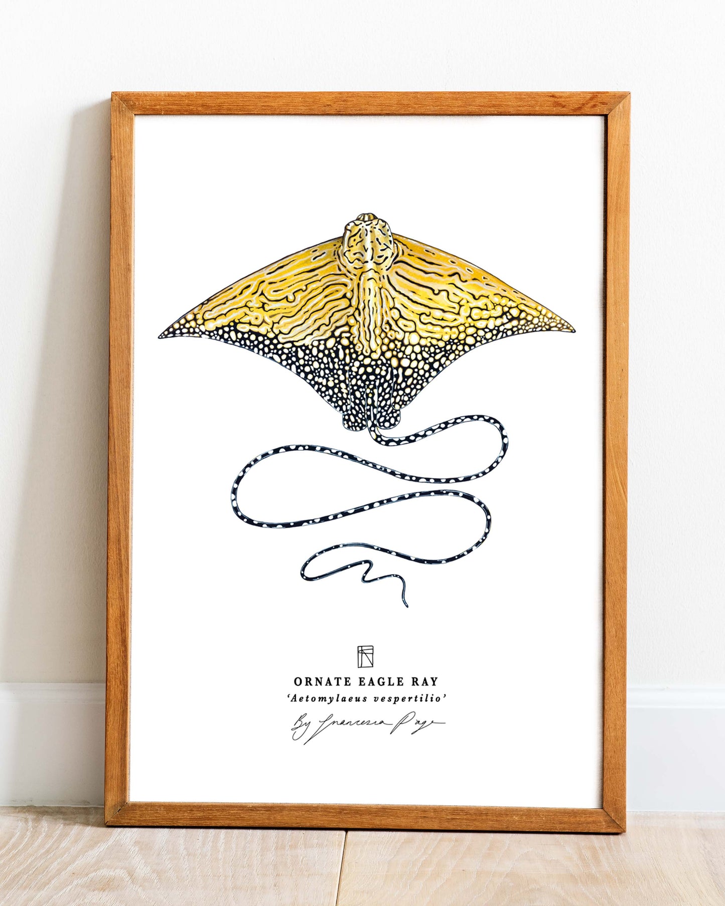 Ornate Eagle Ray Scientific Print