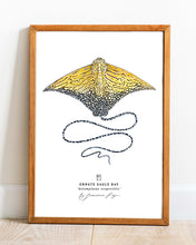 Load image into Gallery viewer, Ornate Eagle Ray Scientific Print
