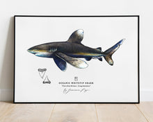 Load image into Gallery viewer, Oceanic Whitetip Shark Scientific Print
