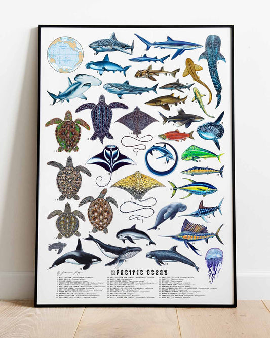 Pacific Ocean Scientific Print