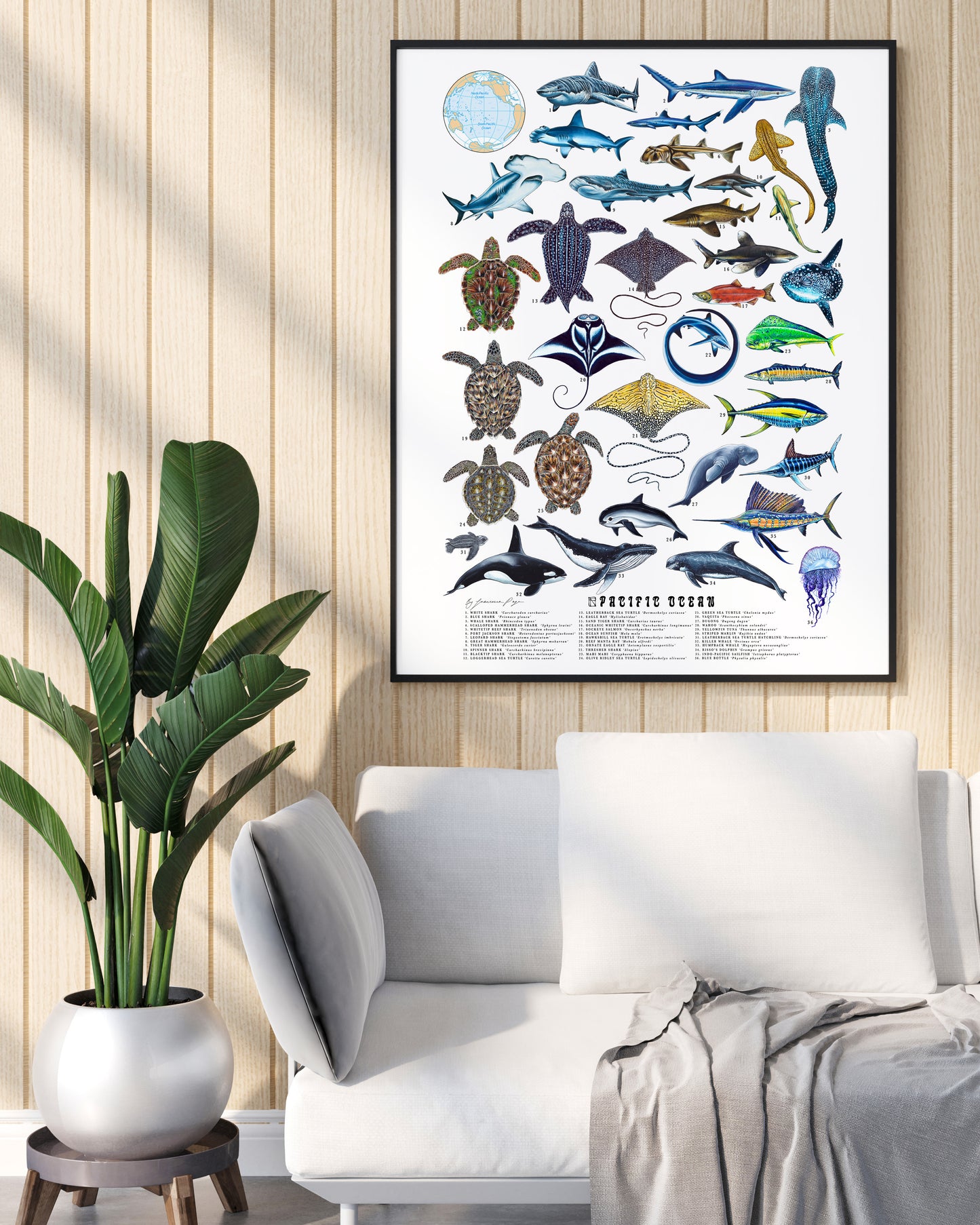 Pacific Ocean Scientific Print