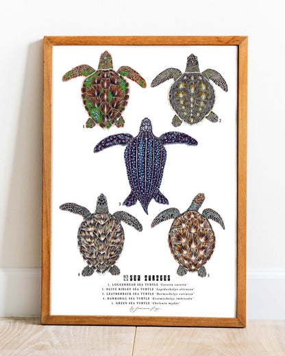 Sea Turtles Scientific Print